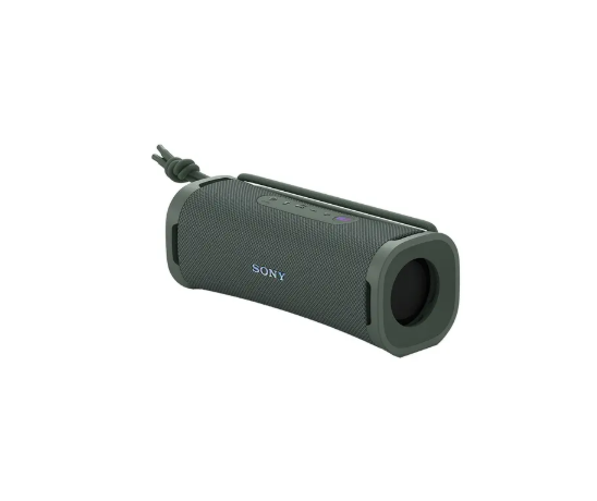 Sony ULT FIELD 1 SRS-ULT10 Gris - DoiexTech