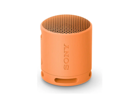 Sony SRS-XB100 Naranja - DoiexTech
