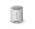 Sony SRS-XB100 Gris - DoiexTech