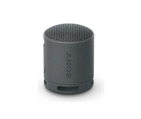 Sony SRS-XB100 Negro - DoiexTech
