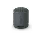 Sony SRS-XB100 Negro - DoiexTech