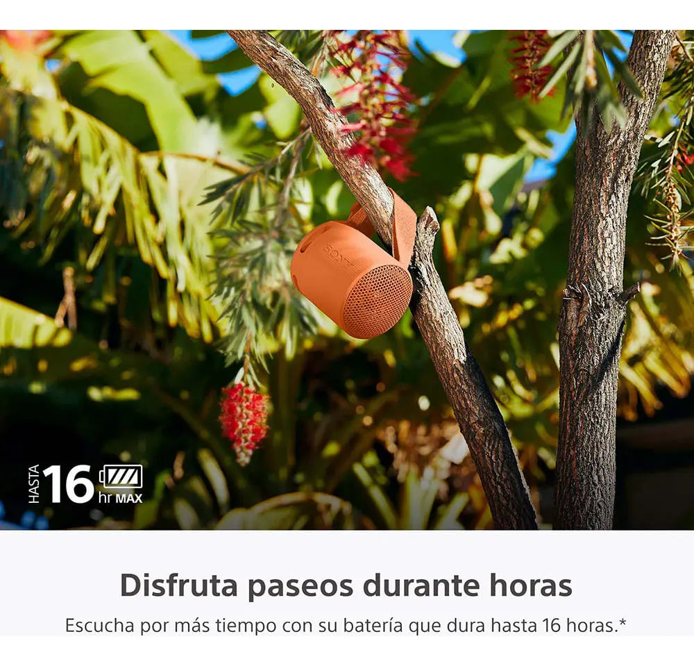 Sony SRS-XB100 Naranja - DoiexTech