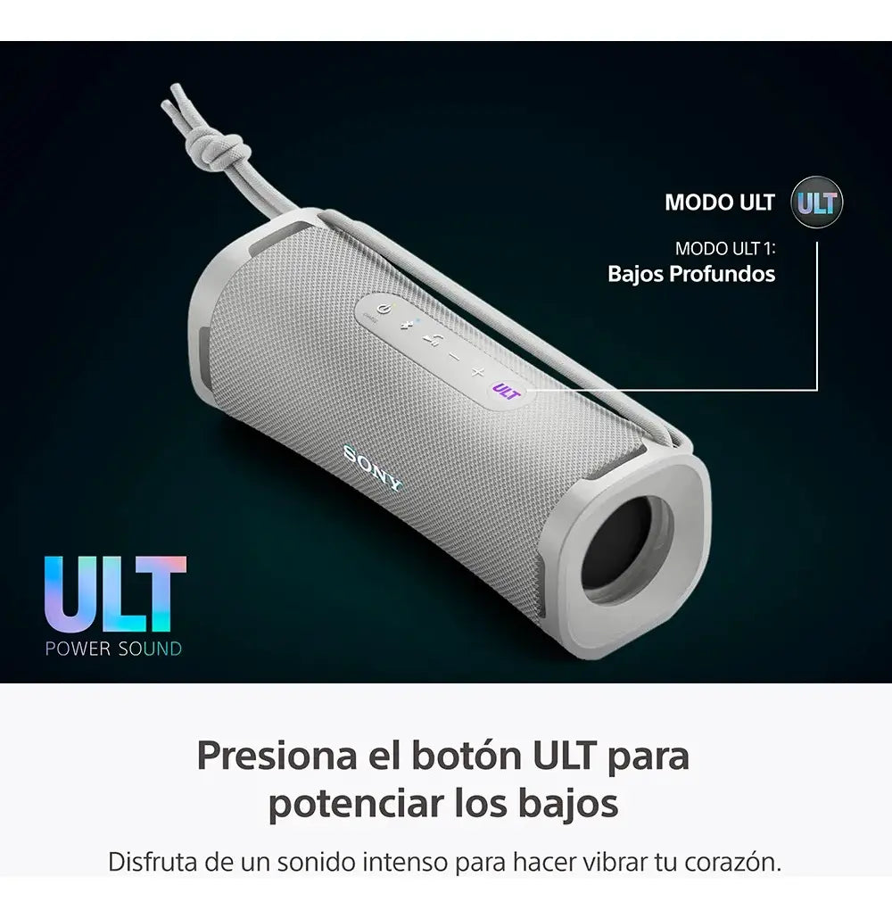 Sony ULT FIELD 1 SRS-ULT10 Gris - DoiexTech