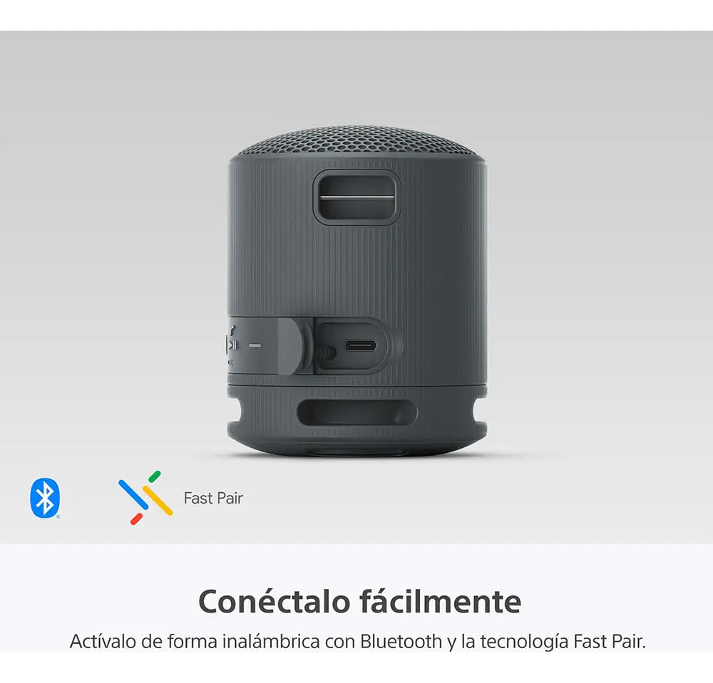 Sony SRS-XB100 Negro - DoiexTech