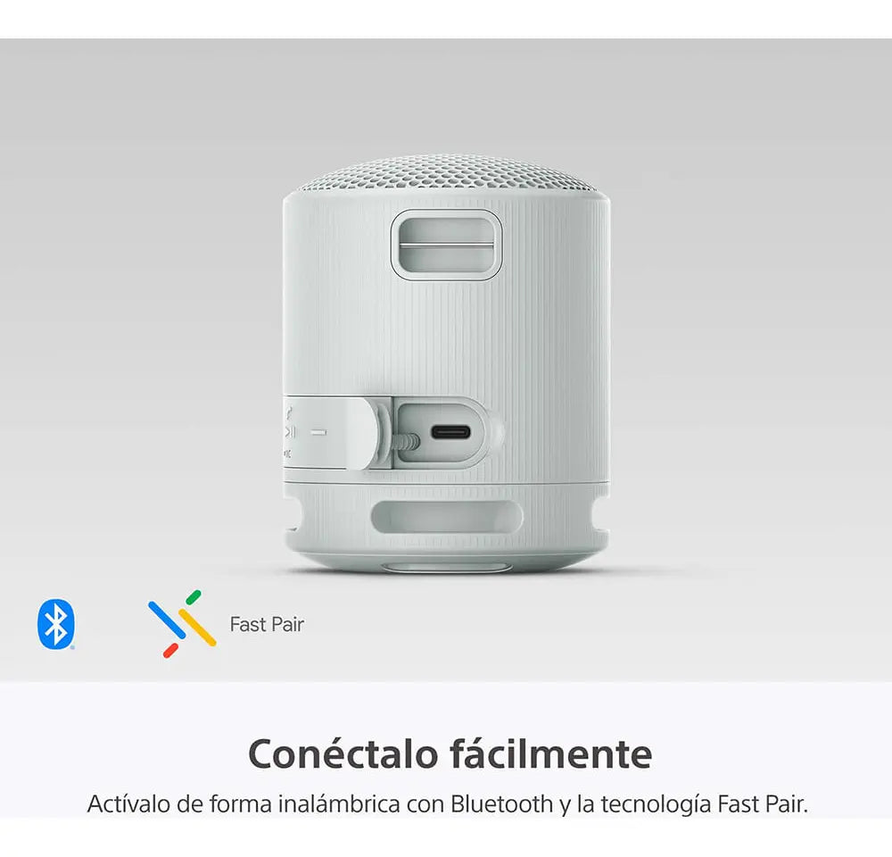 Sony SRS-XB100 Gris - DoiexTech