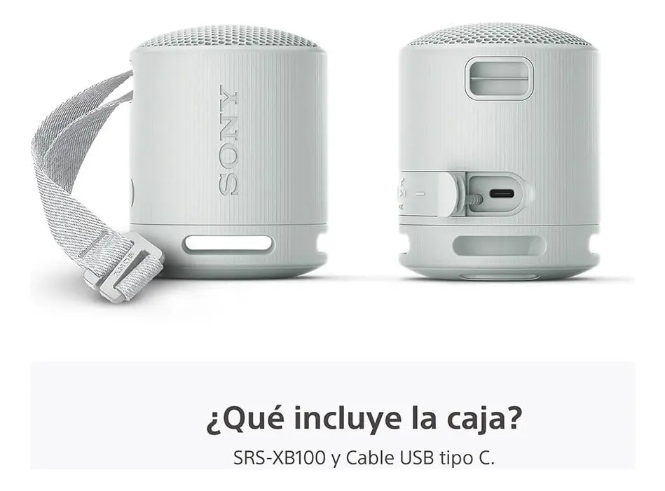 Sony SRS-XB100 Gris - DoiexTech
