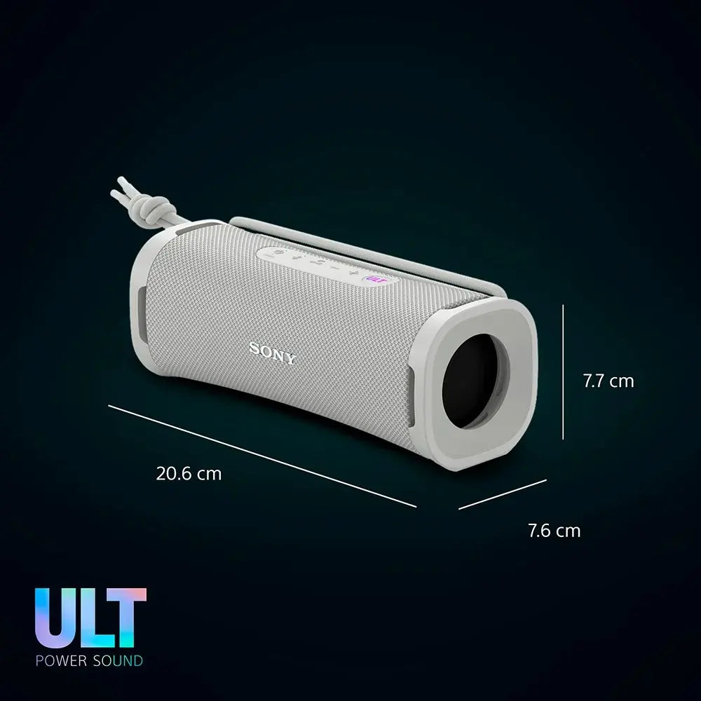 Sony ULT FIELD 1 SRS-ULT10 Gris - DoiexTech
